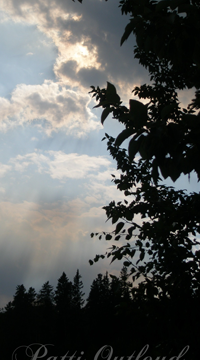 smSillouette