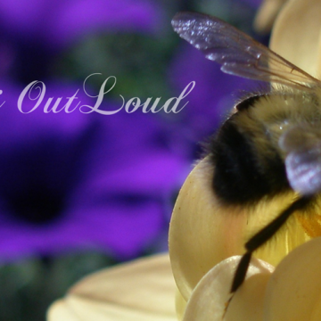 smBee2